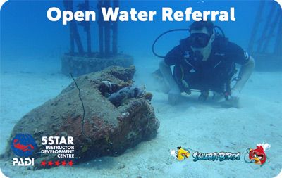 PADI Open Water Refferal Course for beginners on Koh Phangan Island - Two Days Diving Course 