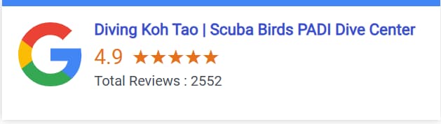 Google Reviews ScubaBirds