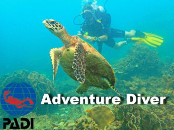 PADI Adventure Diver