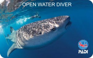 PADI Open Water Diver 