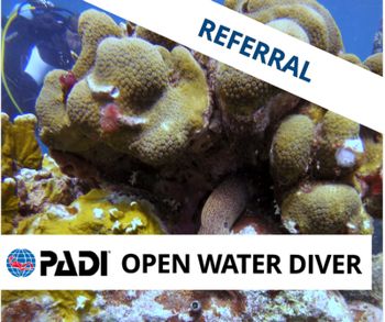  PADI Open Water Diver Referral course