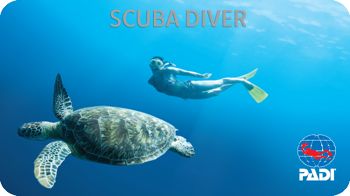 PADI Scuba Diver Course