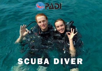 PADI Scuba Diver Course