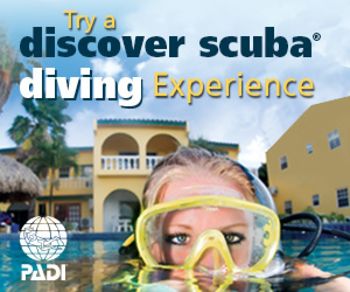 PADI Discover Scuba Diving