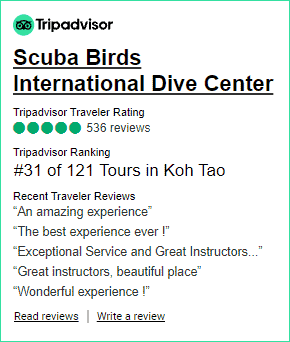 TripAdvisor Reviews Koh Tao