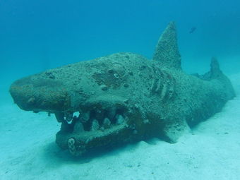 shark sculpture underwater, Koh Tao