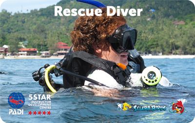 PADI Rescue Diver Course on Koh Phangan Island - Three Days Course 