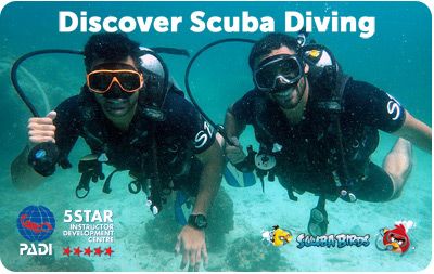 PADI Discover Scuba Diving - Try Scuba Diving on Koh Phangan Island. One day tour tio Koh Tao Island