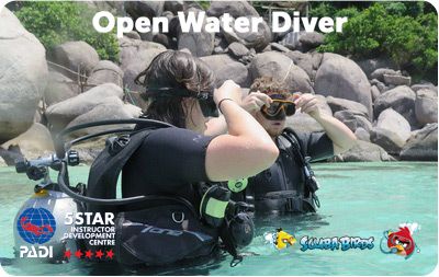 PADI Open Water Diver Course for beginners on Koh Phangan Island - Three Days Diving Course 