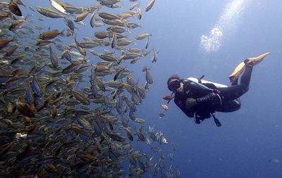 Two-days dive trip from Koh Phangan to Koh Tao for cetified divers