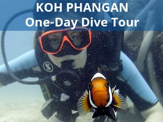 One-day diving tour on Koh Phangan Island  for certified divers with 2 dives and lunch