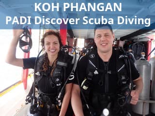 PADI Discover Scuba Diving - Diving tour for non-certified divers on Koh Phangan Island with 2 dives and lunch