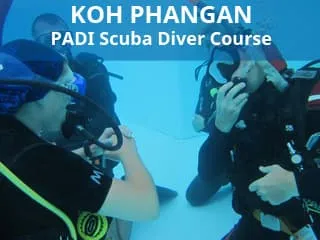 Koh Phangan PADI Scuba Diver Course PADI Scuba Diver Course for beginners with accommodation on Koh Phangan Island