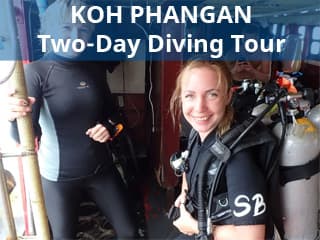 Two-day diving tour from Koh Phangan to Koh Tao Island for certified divers with 4 dives and accommodation