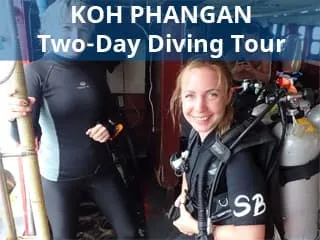 Koh Phangan Two-day diving tour to Koh Tao Island Two-day diving tour from Koh Phangan to Koh Tao Island for certified divers with 4 dives and accommodation