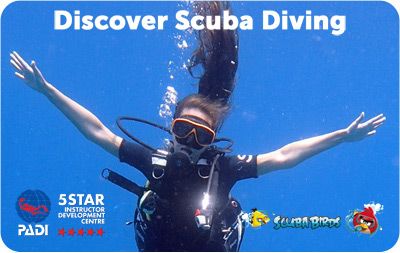 PADI Discover Scuba Diving - Try Scuba Diving on Koh Samui Island. One day tour tio Koh Tao Island