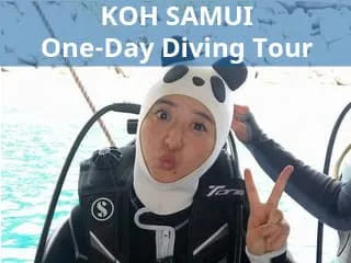 One-day diving tour for certified divers with 2 dives and lunch