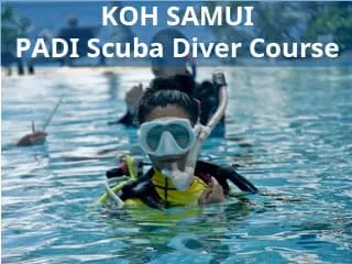 Koh Samui PADI Scuba Diver Course PADI Scuba Diver Course for beginners with accommodation