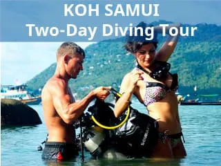 Koh Samui Two-day diving tour Two-day diving tour for certified divers with 4 dives and accommodation