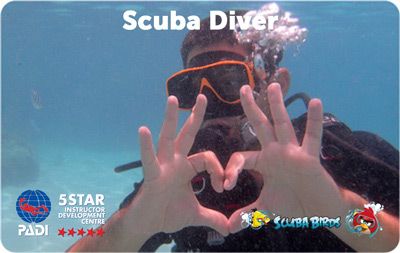 PADI Scuba Diver Course for beginners on Koh Samui Island