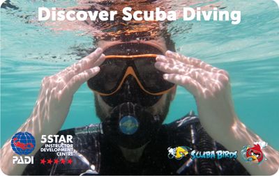 PADI Discover Scuba Diving - Try Scuba Diving on Koh Tao Island