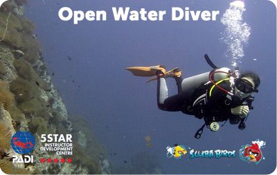 koh tao padi open water diver course