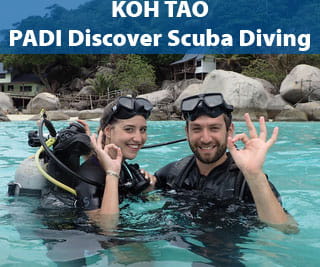 PADI Discover Scuba Diving - Diving for non-certified divers on Koh Tao Island with 2 dives