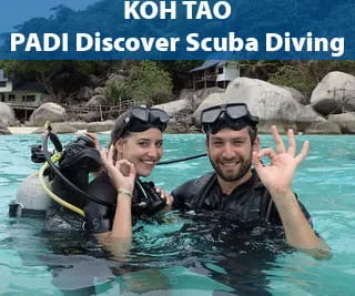 Koh Tao Discover SCUBA Diving program PADI Discover Scuba Diving - Diving for non-certified divers on Koh Tao Island with 2 dives