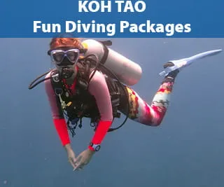 Koh Tao diving for certified divers Diving packages for certified divers on Koh Tao Island