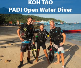 PADI Open Water Diver Course for beginners on Koh Tao Island