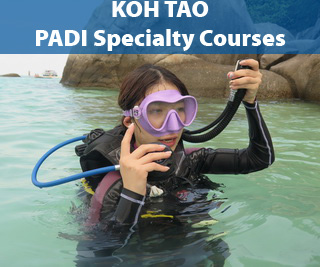 PADI Specialty Scuba Diving Courses on Koh Tao Island - Nitrox, Deep, Wreck, Sidemount. etc.