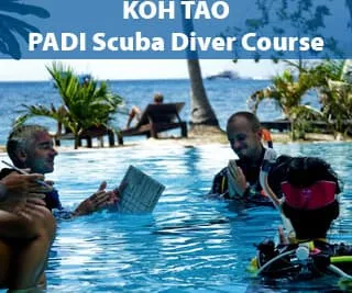 PADI Scuba Diver Course for beginners on Koh Tao Island