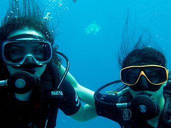 First dive on Koh Tao Island