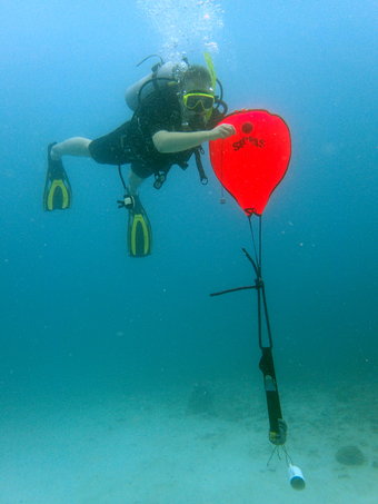 Lift bag using training on Search & Recovery PADI Adventure dive at dive site Twins