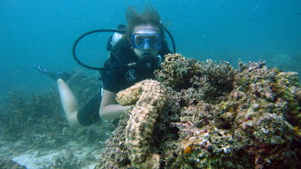 koh tao diving bubblemaker