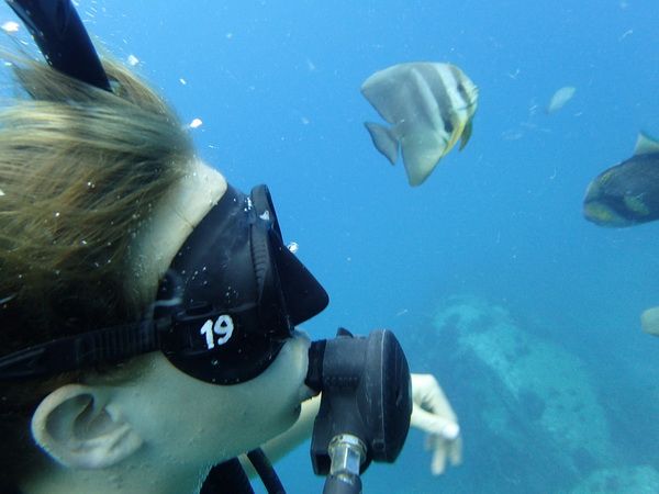   PADI courses in Koh Tao Island - PADI Advanced Open Water Diver