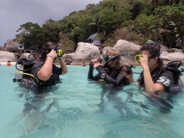 PADI Open Water Diver Referral Course in Koh Tao Island - Scuba Birds Dive Center