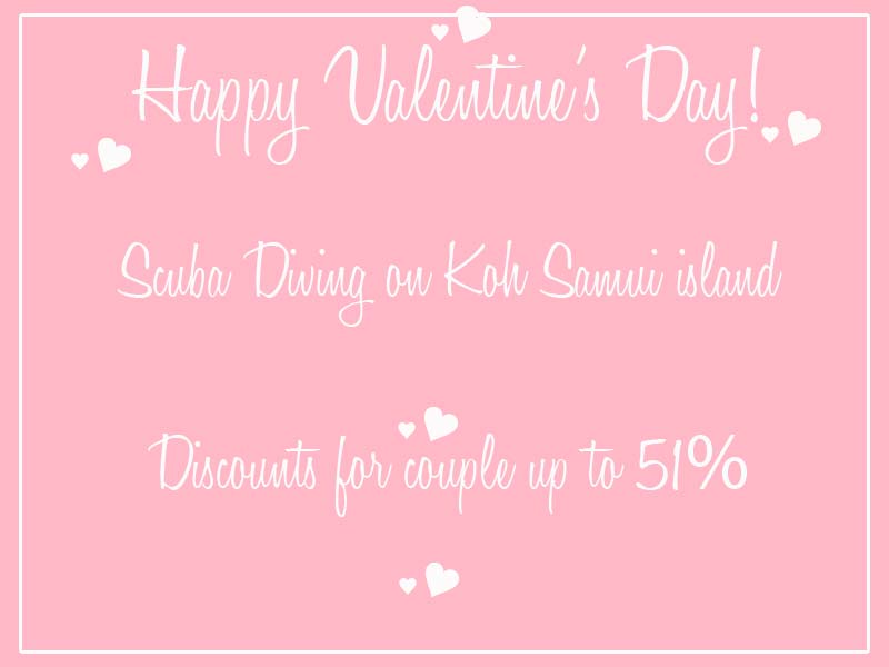 Happy Valentine's Day Scuba Diving Koh Samui
