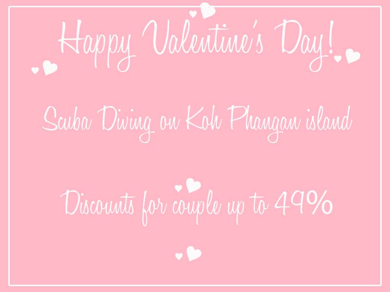 Valentine's Day Scuba Diving Koh Phangan