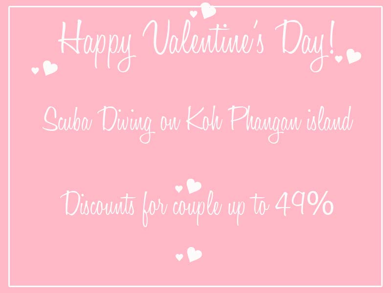 Valentine's Day Scuba Diving Koh Phangan