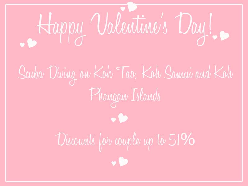 Valentine's Day Scuba Diving Thailand - Hot Promotion