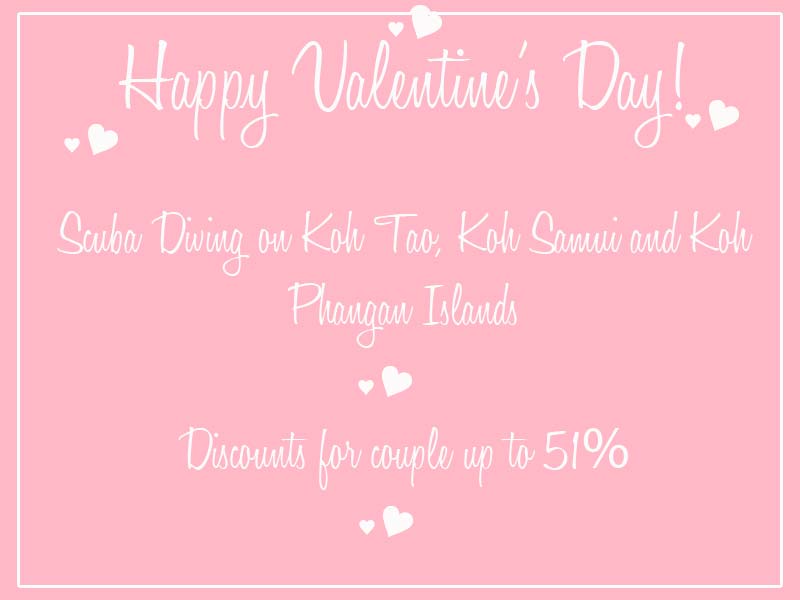 Valentine's Day Scuba Diving Thailand - Hot Promotion